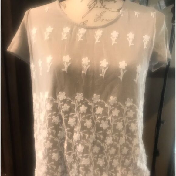 Kim Rogers Petite Small Women's Taupe Blouse - Picture 3 of 15